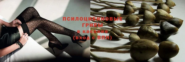 прущая мука Богданович