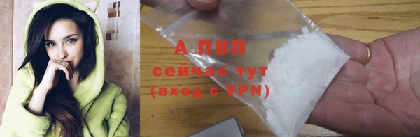 хмурый Богородицк