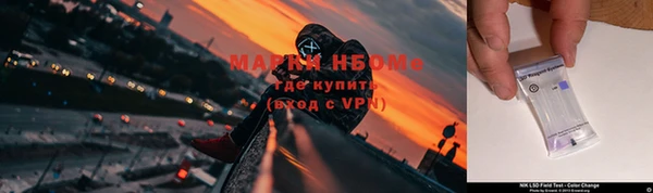хмурый Богородицк