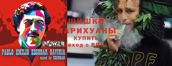 хмурый Богородицк