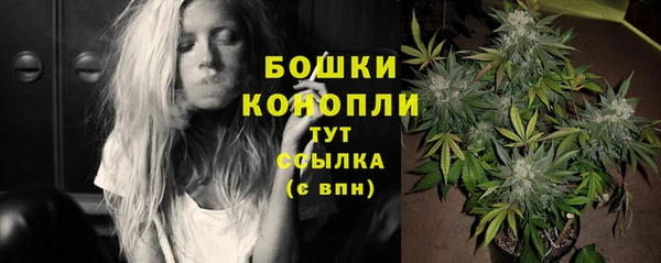 прущая мука Богданович
