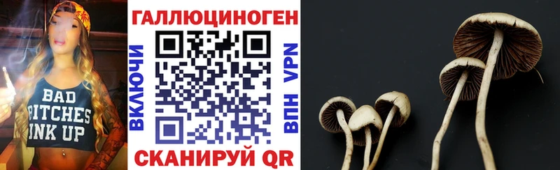 Псилоцибиновые грибы MAGIC MUSHROOMS Калининград